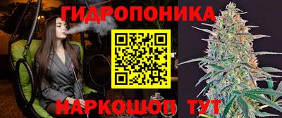 мдпв Михайловск